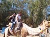 simran-ajmer-taxi-car-rental-hire-cab_30.jpg