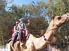 simran-ajmer-taxi-car-rental-hire-cab_32.jpg